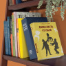 Сейф-книга "12 стульев", 60х170х240 мм, ключевой замок, BRAUBERG, 291058 по низкой цене оптом Краснодар, Москва, Уфа, Казань, Барнаул, Владивосток, Хабаровск, Сахалин, Красноярск, Екатеренбург, 