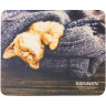 Коврик для мыши SONNEN "KITTEN", резина + ткань, 220х180х3 мм, 513313 по низкой цене оптом Краснодар, Москва, Уфа, Казань, Барнаул, Владивосток, Хабаровск, Сахалин, Красноярск, Екатеренбург, 