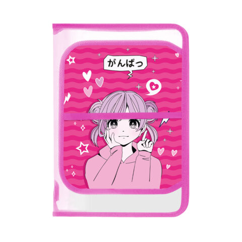 Папка для труда на молнии BRAUBERG KIDS А4, 1 отделение, прозрачная, органайзер, Anime style, 272208 по низкой цене оптом 