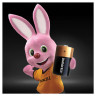Батарейки DURACELL Basic, D (LR20, 13А), алкалиновые, КОМПЛЕКТ 2 шт., в блистере, MN 1300D LR20 по низкой цене оптом Краснодар, Москва, Уфа, Казань, Барнаул, Владивосток, Хабаровск, Сахалин, Красноярск, Екатеренбург, 