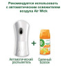 Сменный баллон 250 мл, AIRWICK "Анти-табак. Апельс/бергамот", для автоматических освежителей, универсальный, 224392 по низкой цене оптом 