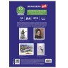 Папка для акварели А4, 10л., 270 г/м2, мелкое зерно, BRAUBERG ART CLASSIC, "Осенняя аллея", 114397 по низкой цене оптом Краснодар, Москва, Уфа, Казань, Барнаул, Владивосток, Хабаровск, Сахалин, Красноярск, Екатеренбург, 