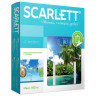 Весы напольные диагностические SCARLETT SC-BS33ED12 "Пальмы", электронные, вес до 180 кг, стекло по низкой цене оптом 