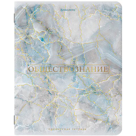 Тетрадь предметная "PASTEL" 48 л., SoftTouch, фольга, ОБЩЕСТВОЗНАНИЕ, клетка, BRAUBERG, 404310 по низкой цене оптом 