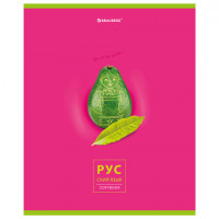 Тетрадь предметная "AVOCADO" 48 л., глянцевый лак, РУССКИЙ ЯЗЫК, линия, подсказ, BRAUBERG, 404282
