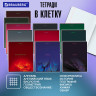 Тетради предметные, КОМПЛЕКТ 13 ПРЕДМЕТОВ, 48л, SoftTouch, BRAUBERG, PEACEFUL, 405182 по низкой цене оптом 