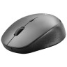 Мышь беспроводная DEFENDER Auris MB-027, USB, 3 кнопки+1 колесо-кнопка, оптическая, с, 52029 по низкой цене оптом Краснодар, Москва, Уфа, Казань, Барнаул, Владивосток, Хабаровск, Сахалин, Красноярск, Екатеренбург, 