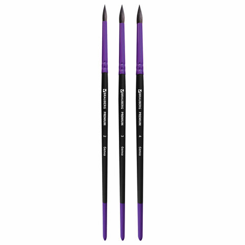 Кисти BRAUBERG PREMIUM, набор 3шт. (беличьи круглые №2,3,4), блистер, 201020 по низкой цене оптом 