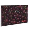 Папка-конверт с кнопкой BRAUBERG "CHERRY", А4, 160 мкм, до 100 листов, цветная печать, 228037 по низкой цене оптом 