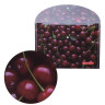 Папка-конверт с кнопкой BRAUBERG "CHERRY", А4, 160 мкм, до 100 листов, цветная печать, 228037 по низкой цене оптом 
