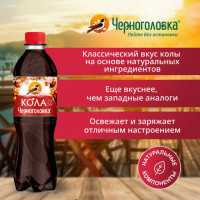 Напиток газированный КОЛА ЧЕРНОГОЛОВКА, 0,5 л, пластиковая бутылка, 010500-9902605
