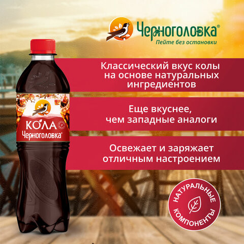 Напиток газированный КОЛА ЧЕРНОГОЛОВКА, 0,5 л, пластиковая бутылка, 010500-9902605 по низкой цене оптом 