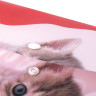 Папка-конверт с кнопкой BRAUBERG "FUNNY CAT", А4, 160 мкм, цветная печать, 228038 по низкой цене оптом 
