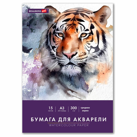 Бумага для акварели БОЛЬШАЯ А3 в папке, 15 листов, 300 г/м2, среднее зерно, BRAUBERG ART CLASSIC, 116354 по низкой цене оптом Бумага для акварели БОЛЬШАЯ А3 в папке, 15 листов, 300 г/м2, среднее зерно, BRAUBERG ART CLASSIC, 116354 по низкой цене оптом