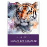 Бумага для акварели БОЛЬШАЯ А3 в папке, 15 листов, 300 г/м2, среднее зерно, BRAUBERG ART CLASSIC, 116354 по низкой цене оптом Бумага для акварели БОЛЬШАЯ А3 в папке, 15 листов, 300 г/м2, среднее зерно, BRAUBERG ART CLASSIC, 116354 по низкой цене оптом