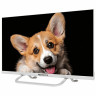 Телевизор TOPDEVICE TDTV24CS03H_WE, 24'' (60 см), 1366x768, HD, 16:9, SmartTV, WiFi B по низкой цене оптом 