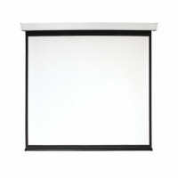 Экран проекционный настенный 135" (248x250 см), электропривод, 1:1, DIGIS Electra-F, DSEF-1108