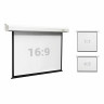 Экран проекционный настенный 135" (248x250 см), электропривод, 1:1, DIGIS Electra-F, DSEF-1108 по низкой цене оптом 