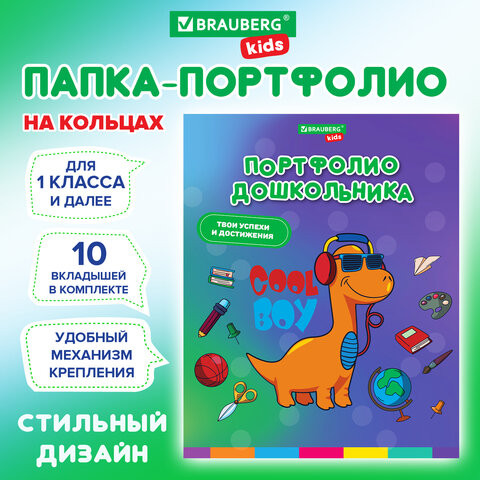Папка-портфолио дошкольника, А4, 4 кольца, 20 файлов, 10 вкладышей, МАЛЬЧИК, BRAUBERG, 115238 по низкой цене оптом Краснодар, Москва, Уфа, Казань, Барнаул, Владивосток, Хабаровск, Сахалин, Красноярск, Екатеренбург, 
