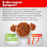 Фундук сырой очищенный NARMAK 1 кг по низкой цене оптом Краснодар, Москва, Уфа, Казань, Барнаул, Владивосток, Хабаровск, Сахалин, Красноярск, Екатеренбург, 