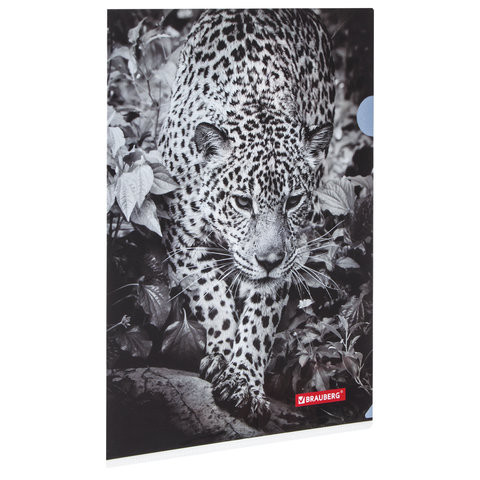 Папка-уголок BRAUBERG "LEOPARD", А4, 150 мкм, цветная печать, 228040 по низкой цене оптом 