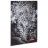 Папка-уголок BRAUBERG "LEOPARD", А4, 150 мкм, цветная печать, 228040 по низкой цене оптом 