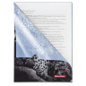 Папка-уголок BRAUBERG "LEOPARD", А4, 150 мкм, цветная печать, 228040 по низкой цене оптом 