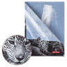 Папка-уголок BRAUBERG "LEOPARD", А4, 150 мкм, цветная печать, 228040 по низкой цене оптом 
