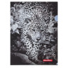 Папка-уголок BRAUBERG "LEOPARD", А4, 150 мкм, цветная печать, 228040 по низкой цене оптом 