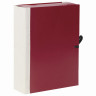 Папка для бумаг архивная А4 (225х310 мм), 80 мм, 4 завязки, бумвинил, корешок - коленкор, 123200 по низкой цене оптом 