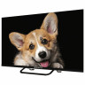 Телевизор TOPDEVICE TDTV32CS03H_BK, 32'' (80 см), 1366x768, HD, 16:9, SmartTV, WiFi B по низкой цене оптом 