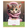 Тетрадь 12л. HATBER клетка, обложка картон, Мы-котики! (микс в спайке), 12Т5В1 по низкой цене оптом 