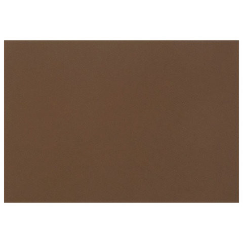 Бумага для пастели (1 лист) FABRIANO Tiziano А2+ (500х650 мм), 160 г/м2, кофейный, 52551009 по низкой цене оптом 
