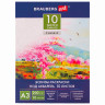 Папка для акварели С ЭСКИЗОМ, БОЛЬШАЯ А3, 10 л., 200 г/м2, BRAUBERG, 110065, 111065 по низкой цене оптом 