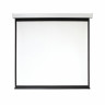 Экран проекционный настенный 142" (225x300 см), электропривод, 4:3, DIGIS Electra, DSEM-4307M по низкой цене оптом 