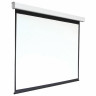 Экран проекционный настенный 142" (225x300 см), электропривод, 4:3, DIGIS Electra, DSEM-4307M по низкой цене оптом 
