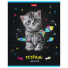 Тетрадь А5 48 л. HATBER скоба, клетка, глянцевая ламинация, "МУРчат Коты" (5 видов в спайке), 48Т5лВ1 по низкой цене оптом 