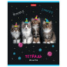 Тетрадь А5 48 л. HATBER скоба, клетка, глянцевая ламинация, "МУРчат Коты" (5 видов в спайке), 48Т5лВ1 по низкой цене оптом 