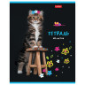 Тетрадь А5 48 л. HATBER скоба, клетка, глянцевая ламинация, "МУРчат Коты" (5 видов в спайке), 48Т5лВ1 по низкой цене оптом 
