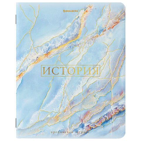 Тетрадь предметная "PASTEL" 48 л., SoftTouch, фольга, ИСТОРИЯ, клетка, BRAUBERG, 404316 по низкой цене оптом 