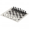 Игра 3 в 1 "Шашки, нарды и шахматы", 21х19 см, "Десятое королевство", 01451