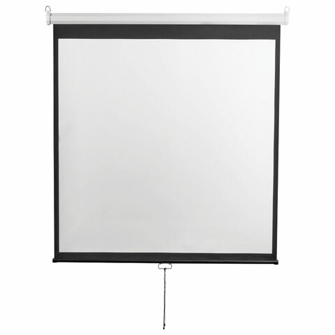 Экран проекционный настенный 112" (206x209 см), электропривод, 1:1, DIGIS OPTIMAL-D, DSOD-1105 по низкой цене оптом 