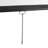 Экран проекционный настенный 112" (206x209 см), электропривод, 1:1, DIGIS OPTIMAL-D, DSOD-1105 по низкой цене оптом 