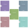 Тетрадь обложка пластик, 24л. клетка, HATBER, Color Set (микс в спайке), 092030, 24Т5В1пл по низкой цене оптом Тетрадь обложка пластик, 24л. клетка, HATBER, Color Set (микс в спайке), 092030, 24Т5В1пл по низкой цене оптом