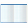 Книга канцелярская 80 л., клетка, твердая, глянцевая, блок офсет, А4 (215х295 мм), BRAUBERG, 130065