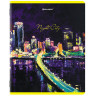 Тетради КОМПЛЕКТ 5 шт. А5, 48 л., BRAUBERG, скоба, клетка, TWIN лак, "Night City", 404396 по низкой цене оптом 