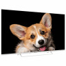Телевизор TOPDEVICE TDTV50CS03U_WE, 50'' (126 см), 3840x2160, 4K, 16:9 SmartTV WiFi B по низкой цене оптом 