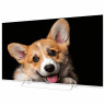 Телевизор TOPDEVICE TDTV50CS03U_WE, 50'' (126 см), 3840x2160, 4K, 16:9 SmartTV WiFi B по низкой цене оптом 