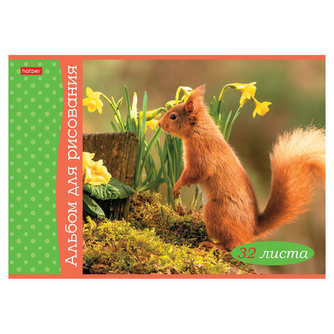 Альбом для рисования А4, 32 л., скоба, обложка картон, HATBER, 205х290 мм, "Белочка пришла" (5 видов), 091519, 32А4В по низкой цене оптом 