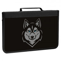 Папка для труда на молнии BRAUBERG А4 с ручкой, 1 отделение, органайзер, "Husky", 271450